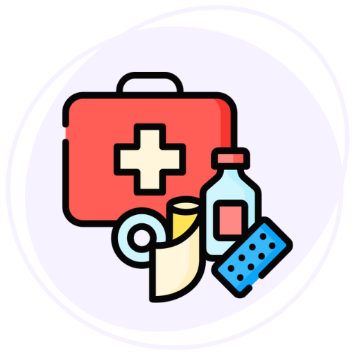icon of Healthcare